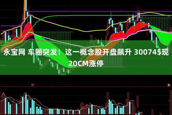 永宝网 车圈突发!这一概念股开盘飙升 300745现20CM涨停