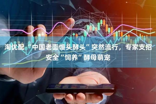 淘优配 “中国老面馒头酵头”突然流行,专家支招安全“饲养”酵母萌宠