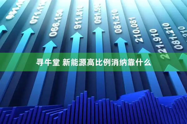 寻牛堂 新能源高比例消纳靠什么